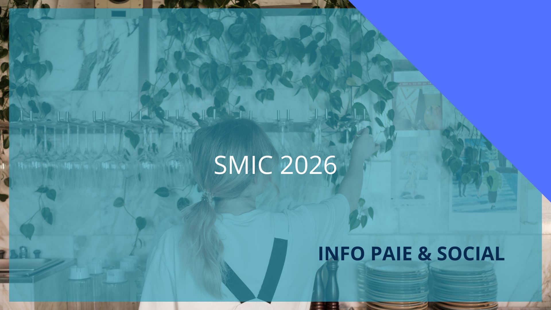 LFSS 2026 - nouveau smic